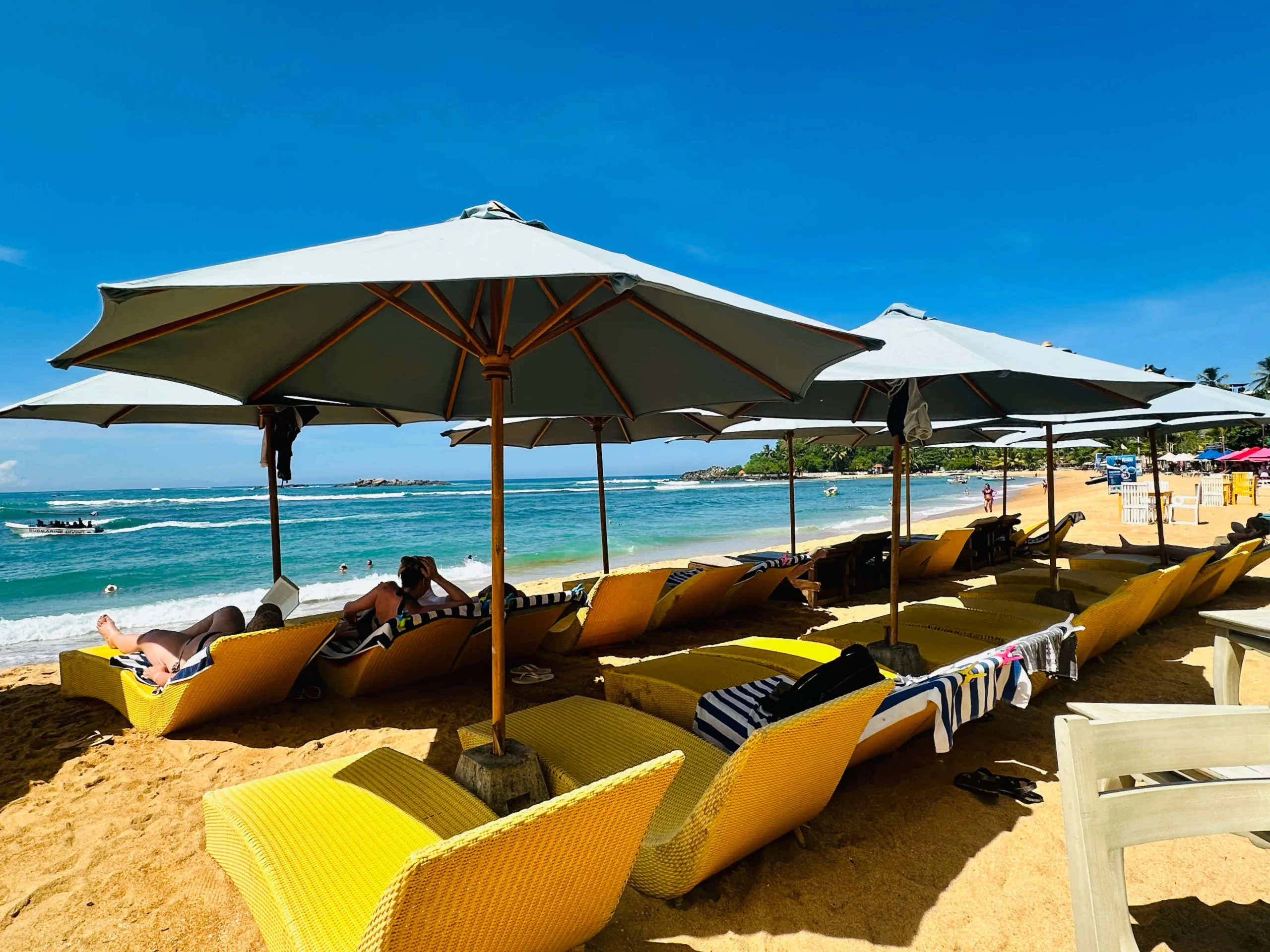Resort Experience